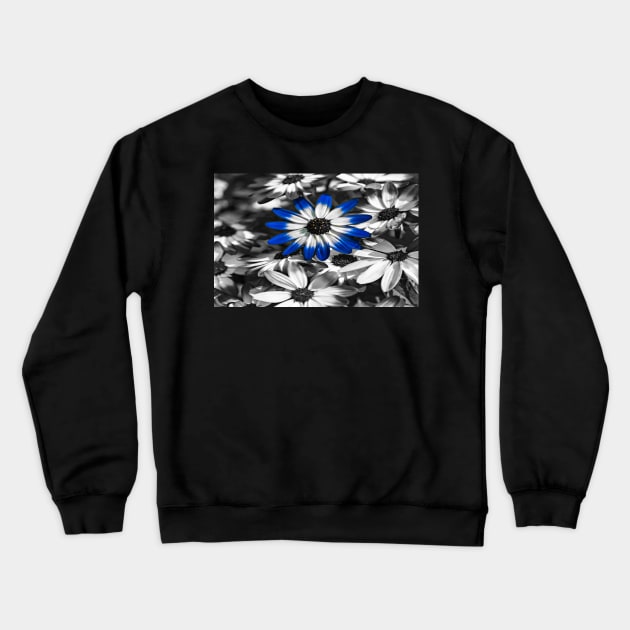 Blue Senetti Crewneck Sweatshirt by Reg-K-Atkinson
